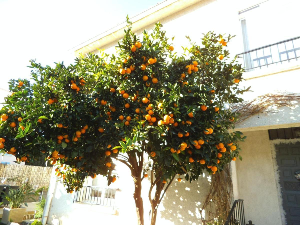 Chambre Perpignan Las Cobas Exterior foto